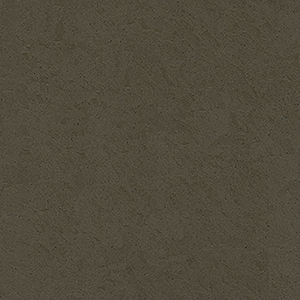 4919Oregano